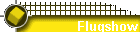 Flugshow