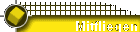Mitfliegen
